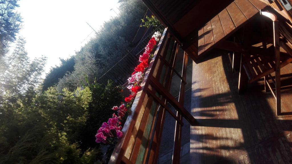 הוילה אלבניה Agriturismo Baita Marina מראה חיצוני תמונה
